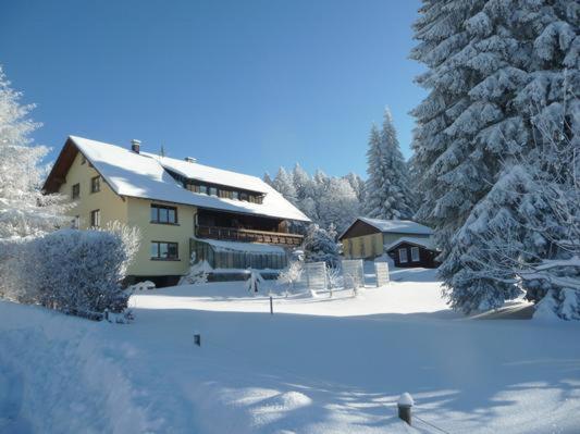 Catalli Herrischried Exterior foto
